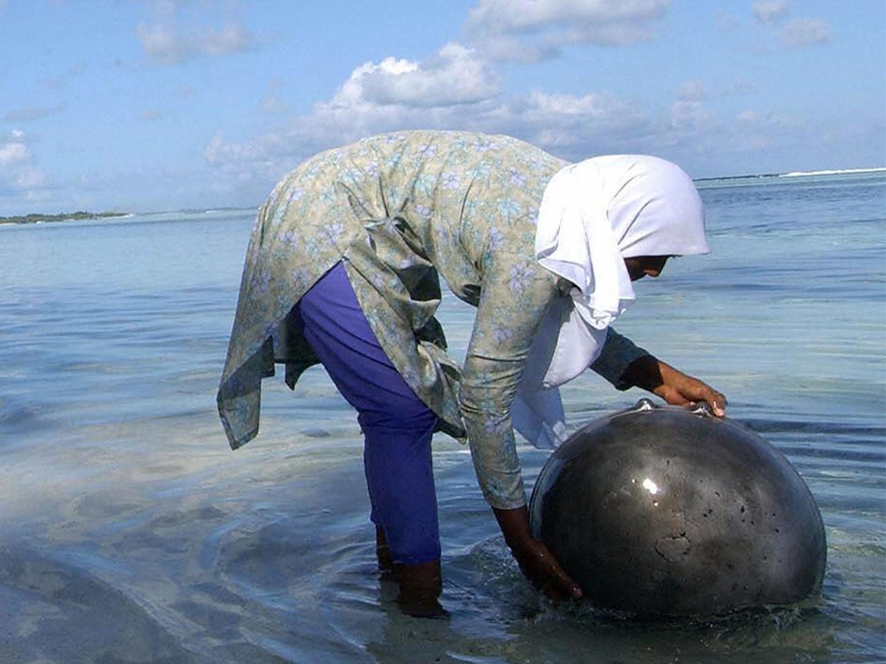 image-cover-global-warming.jpg