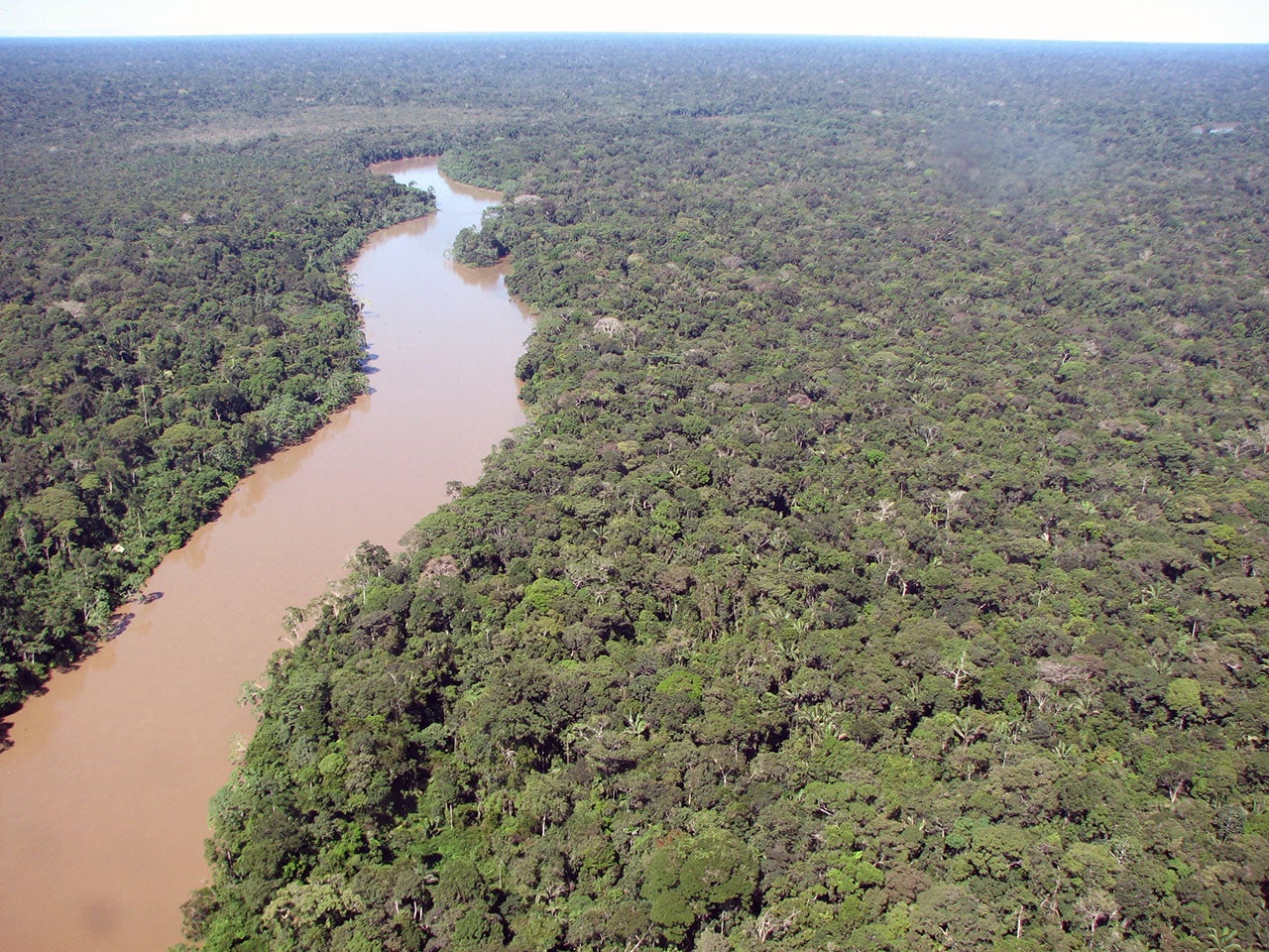 image-cover-undp-redd.jpg
