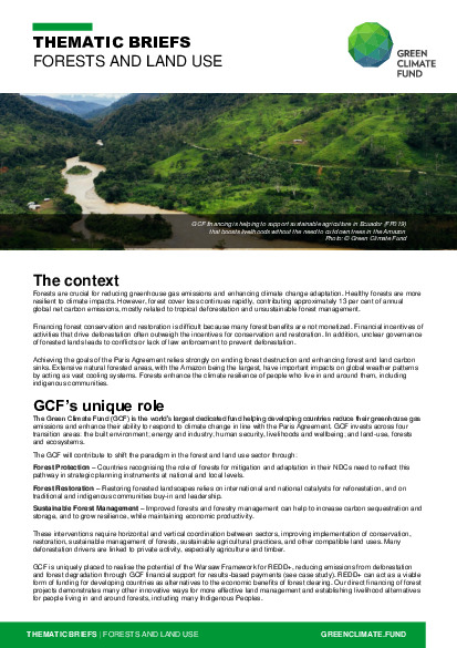 Document cover for Thematic brief: Forests and land use