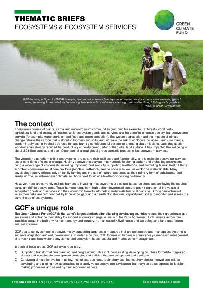 Document cover for Thematic brief: Ecosystems & ecosystem services