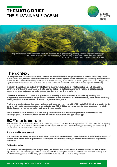 Document cover for Thematic brief: Oceans
