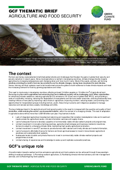 Document cover for Thematic brief: Agriculture and food security