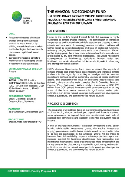 Document cover for The Amazon bioeconomy fund