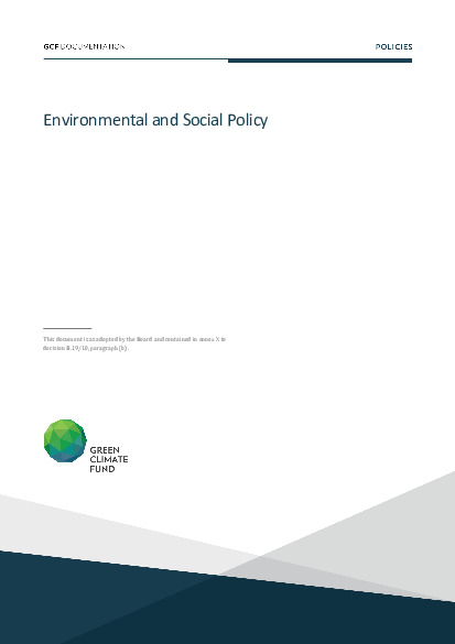 Document cover for Environmental and social policy
