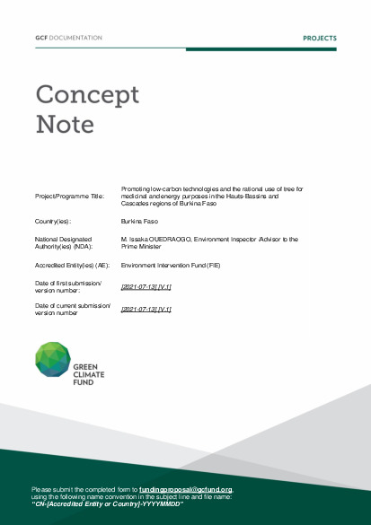 Document cover for Promoting low-carbon technologies and the rational use of tree for medicinal and energy purposes in the Hauts-Bassins and Cascades regions of Burkina Faso