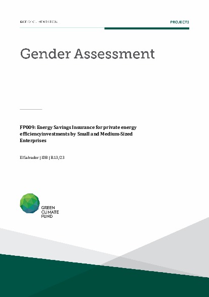 Document cover for Gender assessment for FP009: Energy Savings Insurance (ESI) for private energy efficiency investments by Small and Medium-Sized Enterprises (SMEs)