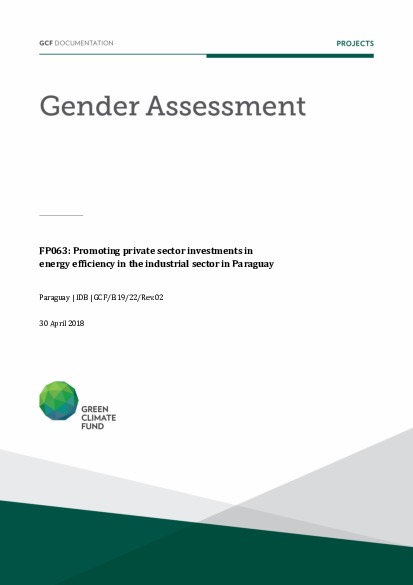 Document cover for Gender assessment for FP063: Promoting private sector investments in energy efficiency in the industrial sector and in Paraguay