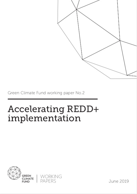 Document cover for Accelerating REDD+ implementation