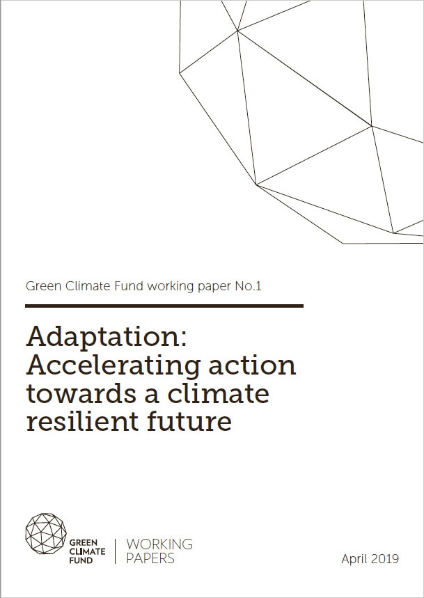 Document cover for Adaptation: Accelerating action towards a climate resilient future