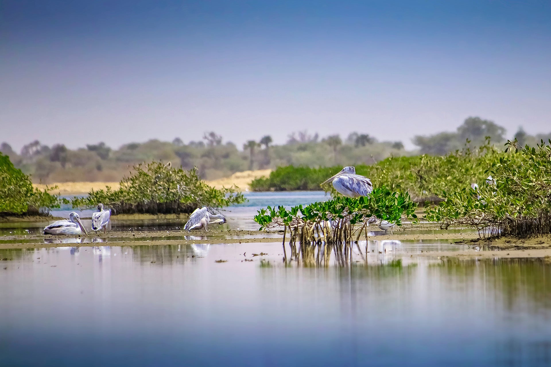 side-event-1-header.jpg