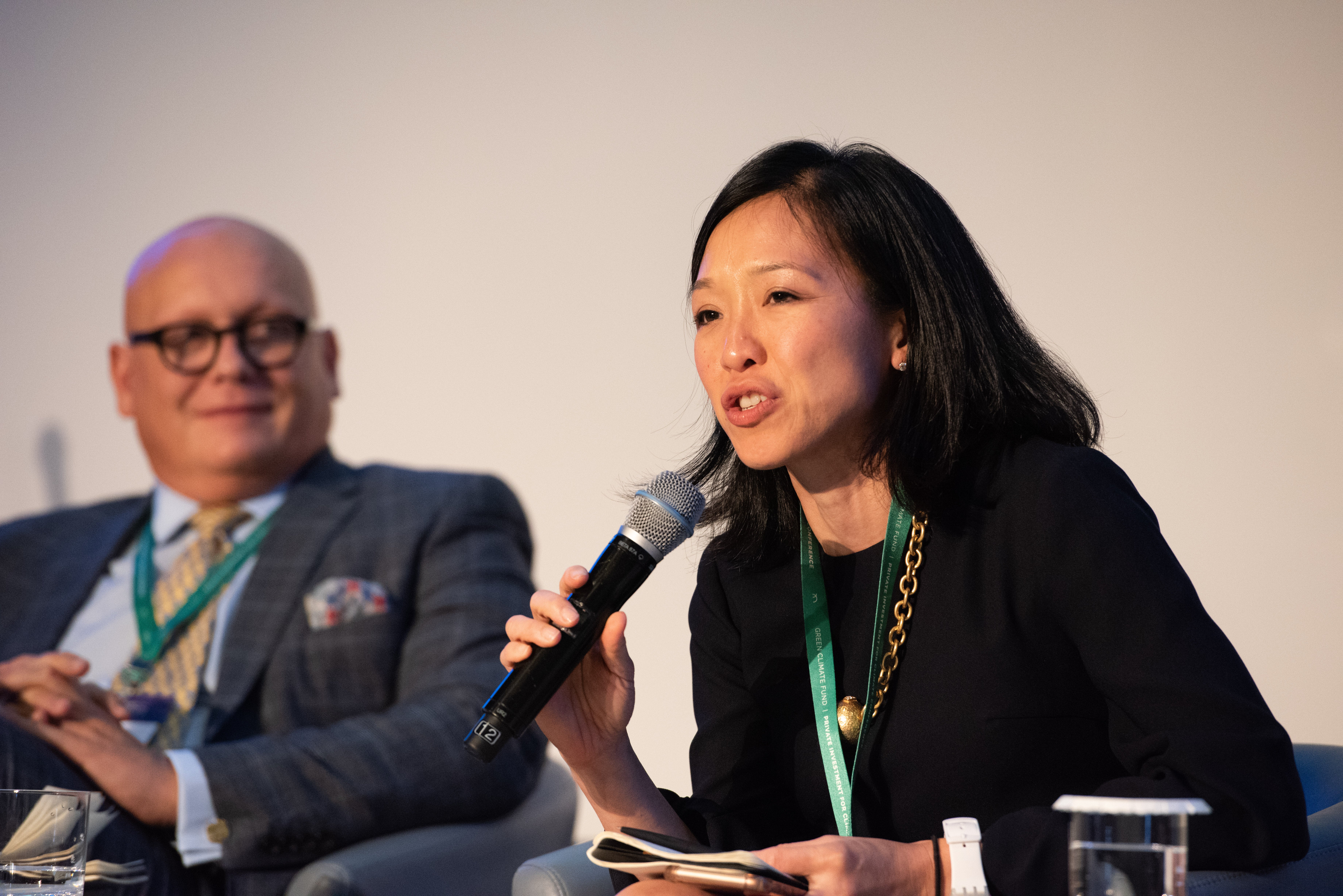 GCF Private Investment for Climate Conference 2018 photo