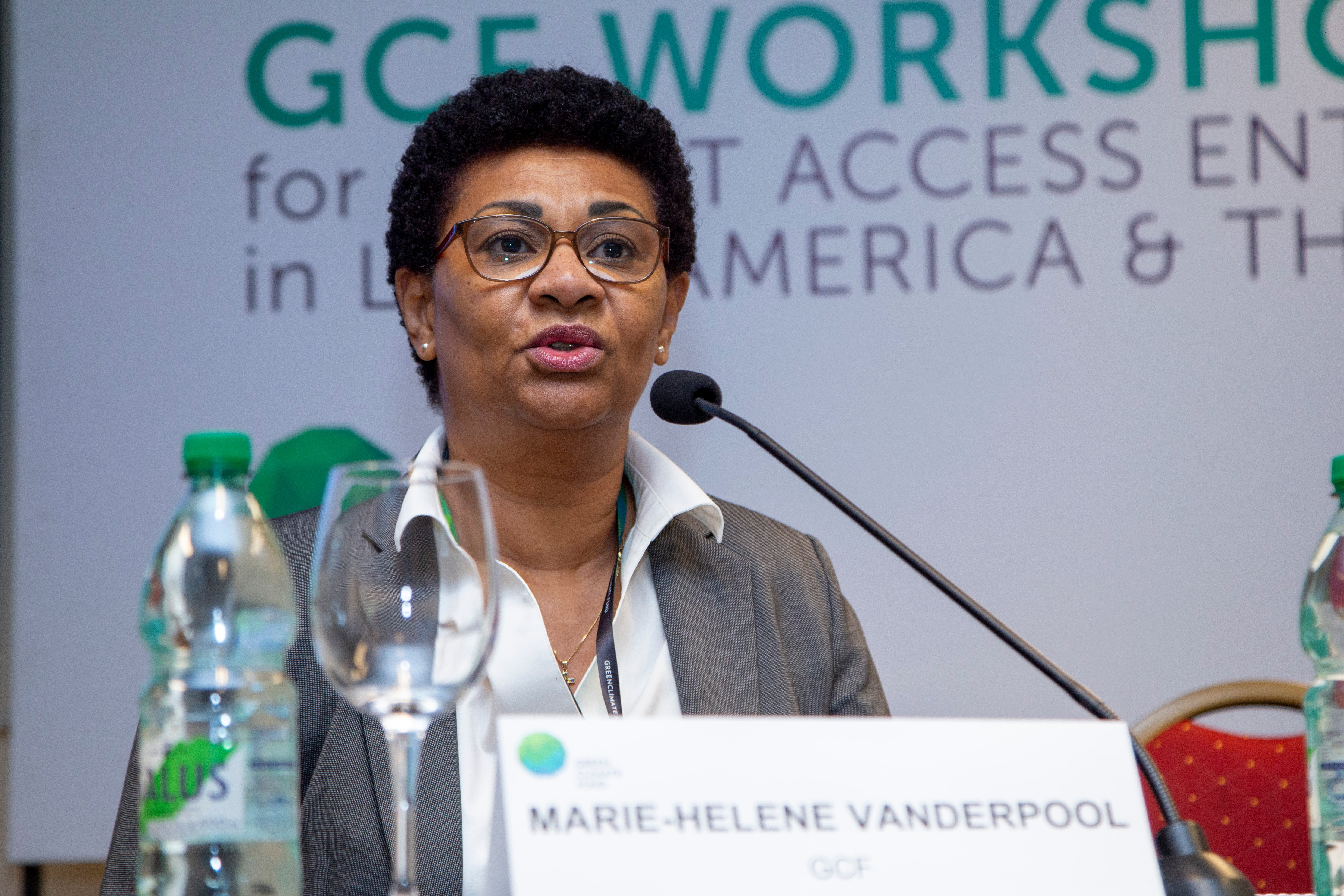 GCF Workshop for DAEs in LAC - 27-28 July 2023 photo