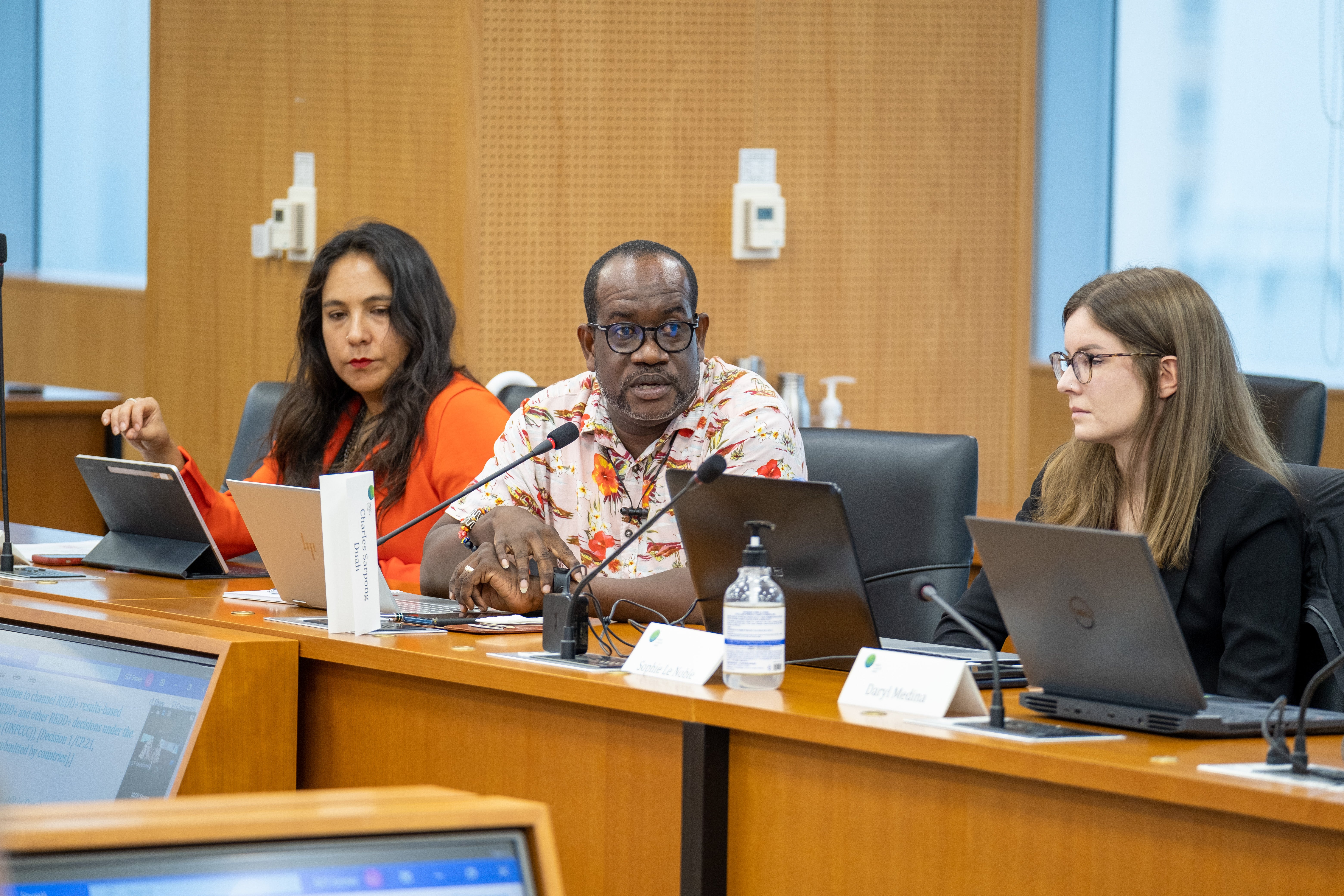 GCF Technical Workshop on REDD+ Results-Based Payments photo