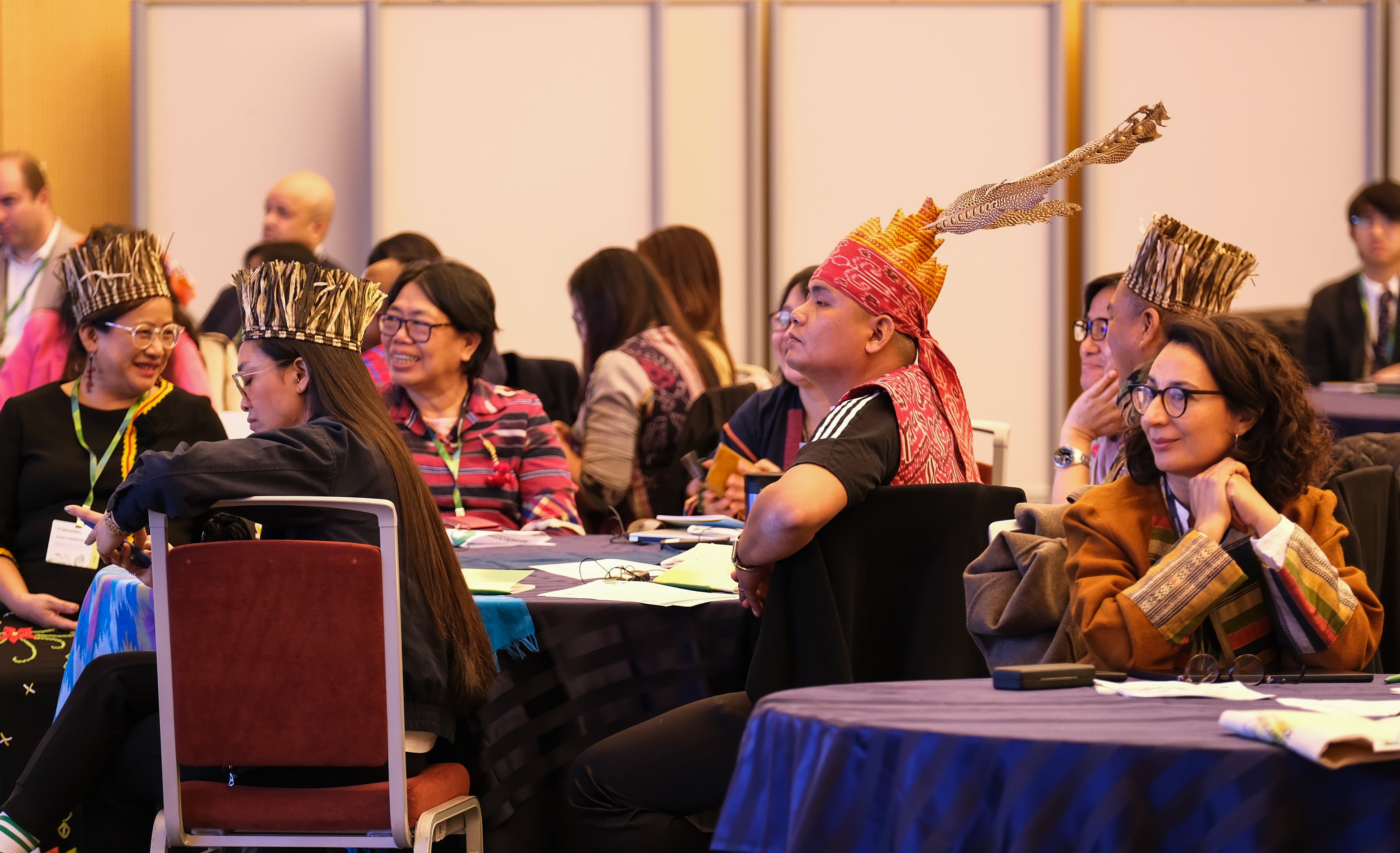 GCF Conference with Indigenous Peoples