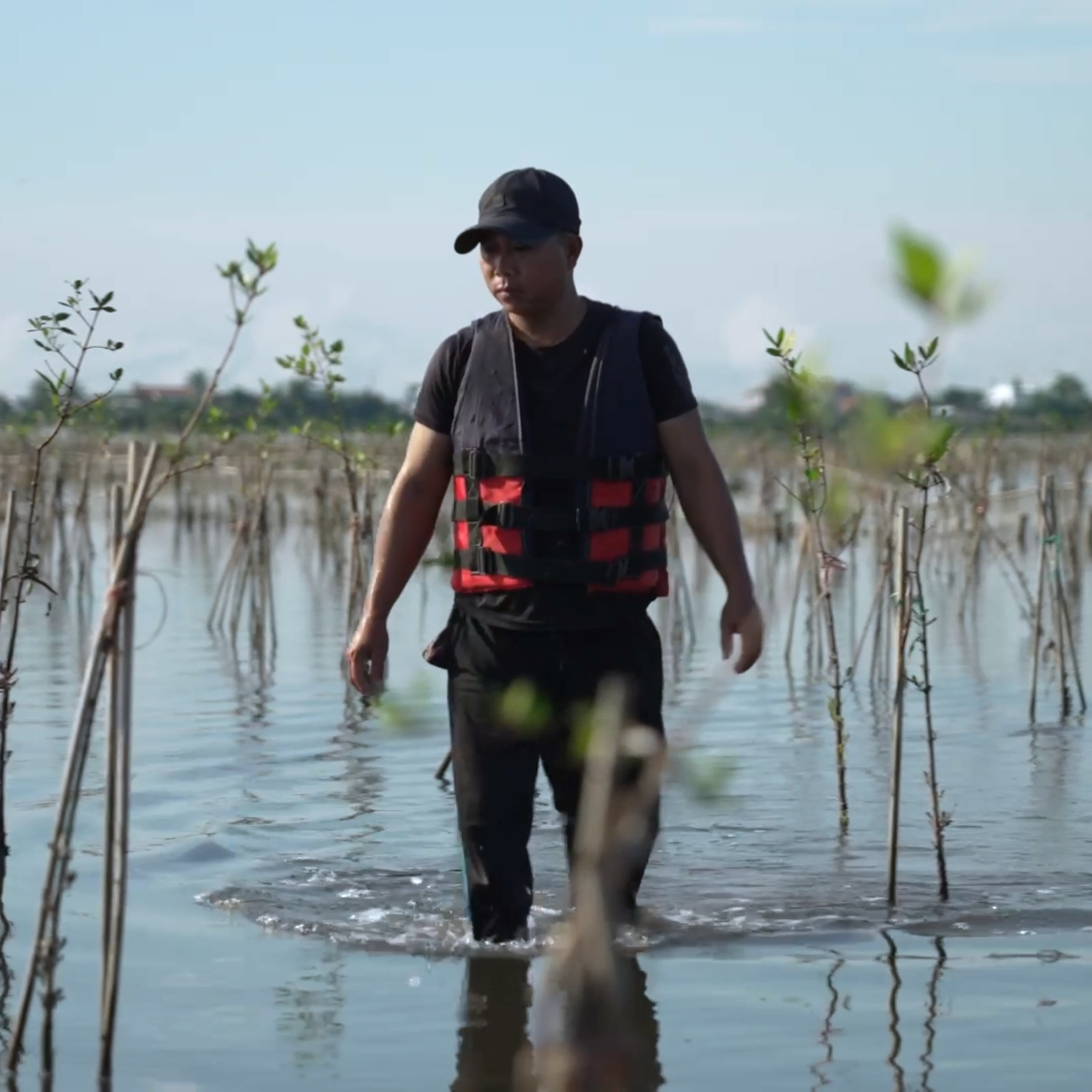 A man wearing a black hat, a black and red jacket, and a black trousers, walking in a pond, with a few thin plants around him