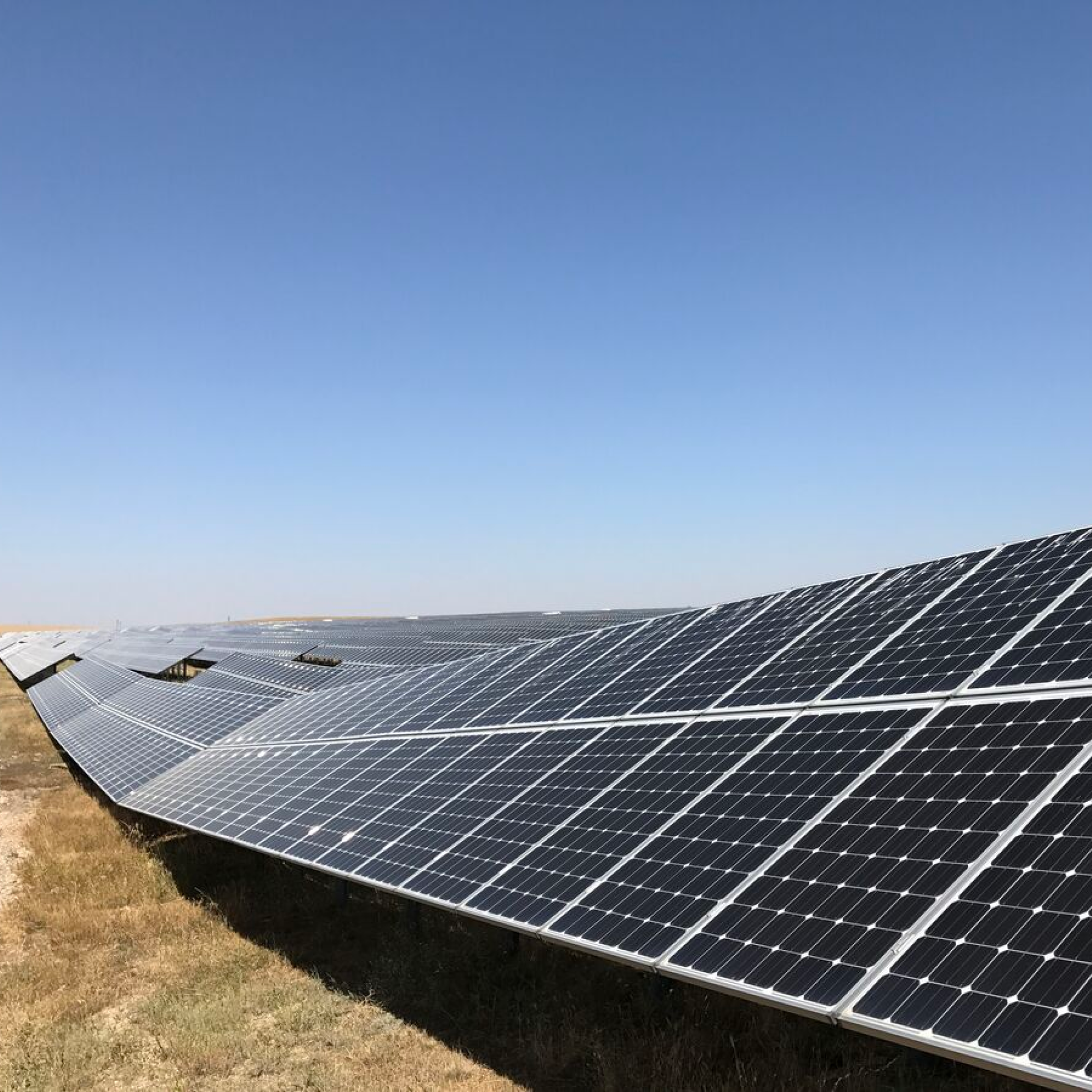 Many solar panels lying on dry grass. Blue sky.