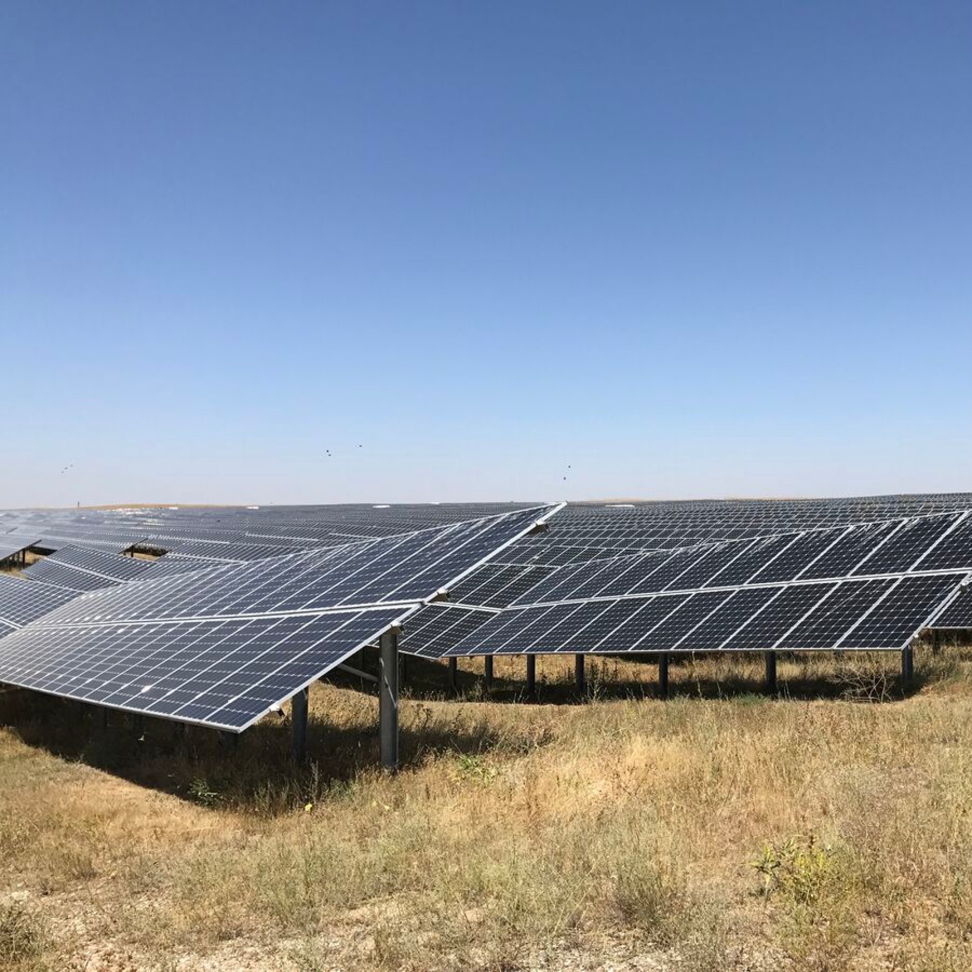 Many solar panels lying on dry grass. Blue sky.