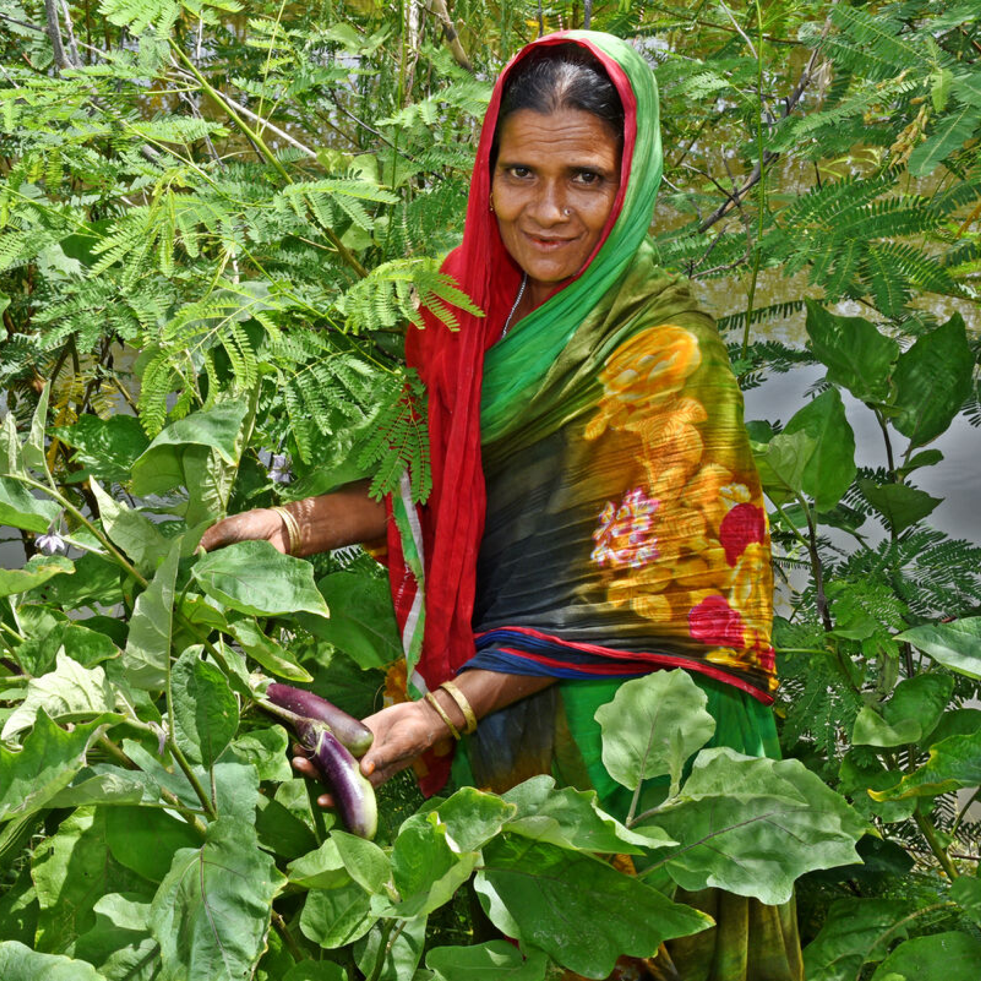 Woman from Bangladesh, wearing colorful clothes, holding a vegetable or a flower, in the middle of tree leaves