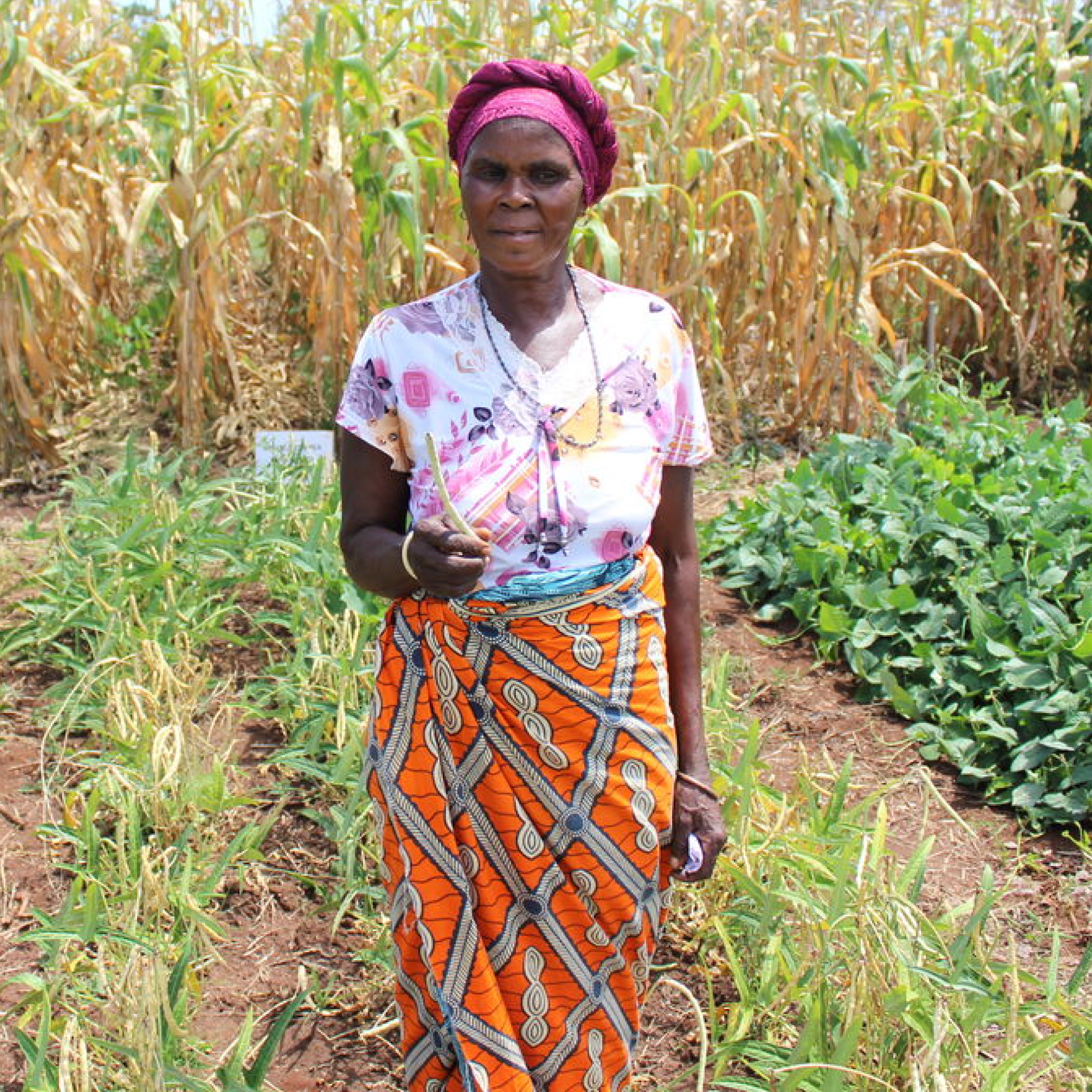 Woman from Zambia wearing colorful clothes, smiling, standing in a middle of a field