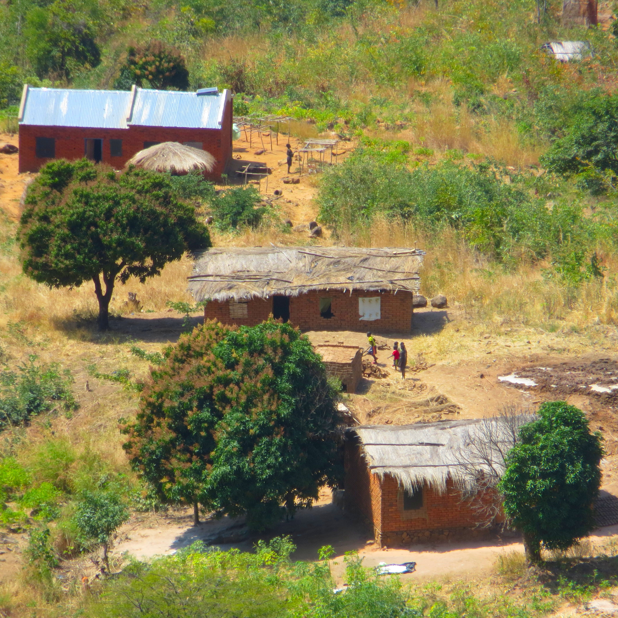 Photograph of a rural homestead in a sunny, arid landscape. Several small houses made of reddish-orange bricks feature traditional thatched roofs, while one has a bright blue corrugated metal roof. A few small figures are visible walking in the dirt yards between trees and sparse vegetation.