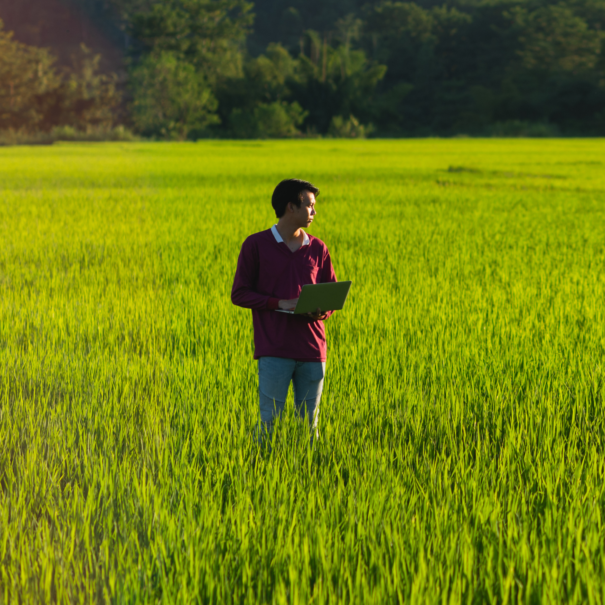 An Asian man standing in a middle of a green field. He holds a laptop.
