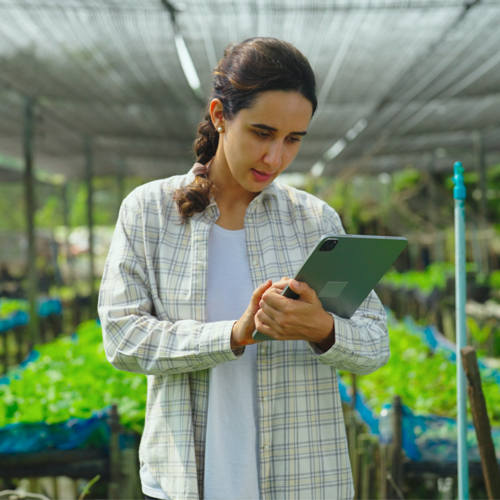 Photograph of a woman holding a tablet while standing in a greenhouse filled with green plants on raised beds. The setting suggests monitoring or managing plant growth using digital technology, highlighting integration of agriculture and modern data tools.