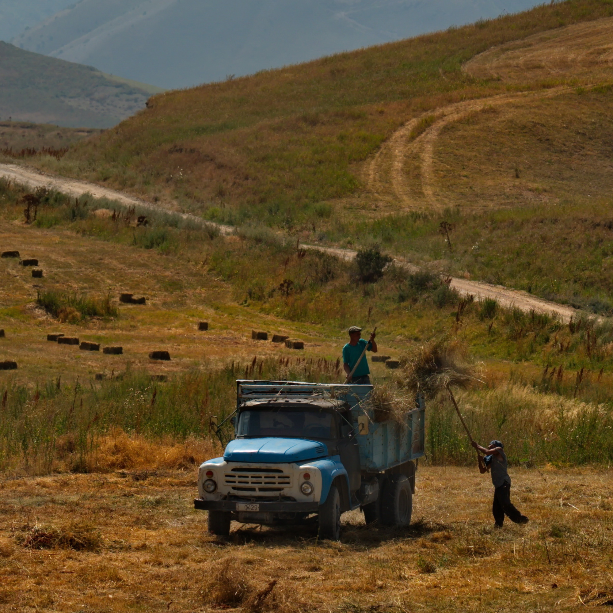 Photograph of two farmers loading hay onto a blue vintage truck in a dry, grassy field with rolling hills in the background. The scene highlights rural agricultural work with one person standing on the truck bed and another lifting hay using a pitchfork, under warm, natural lighting.
