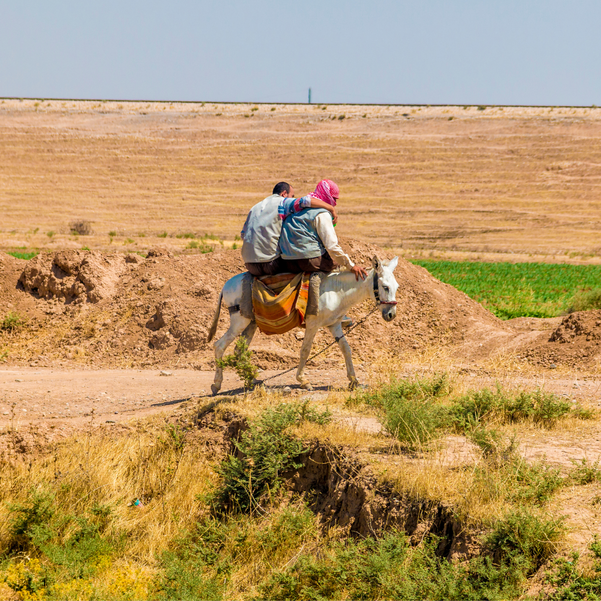 Photograph showing two men riding a white donkey along a dirt path in a dry, rural landscape with sparse vegetation and a plowed field in the background. One man wears a red headscarf and the other a gray shirt, highlighting traditional transportation in an arid agricultural setting.