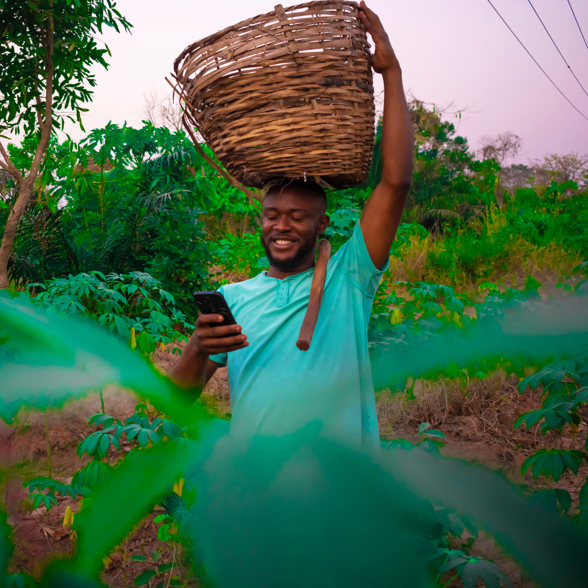 Photograph of a black man standing in a green agricultural field holding a large woven basket on their head and looking at a smartphone. Surrounding plants and trees indicate a rural farming environment during daylight.