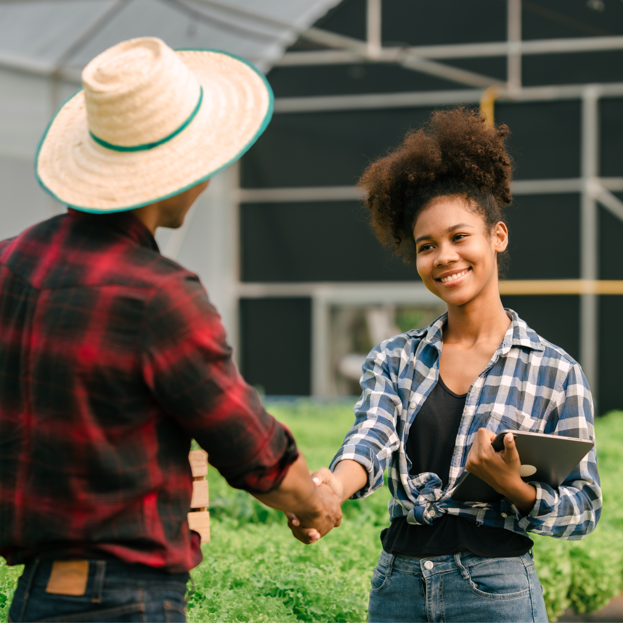 Photograph of two people shaking hands inside a greenhouse, suggesting a business or agricultural agreement. One person wears a straw hat and red plaid shirt, while the other holds a tablet and wears a blue plaid shirt tied at the waist.