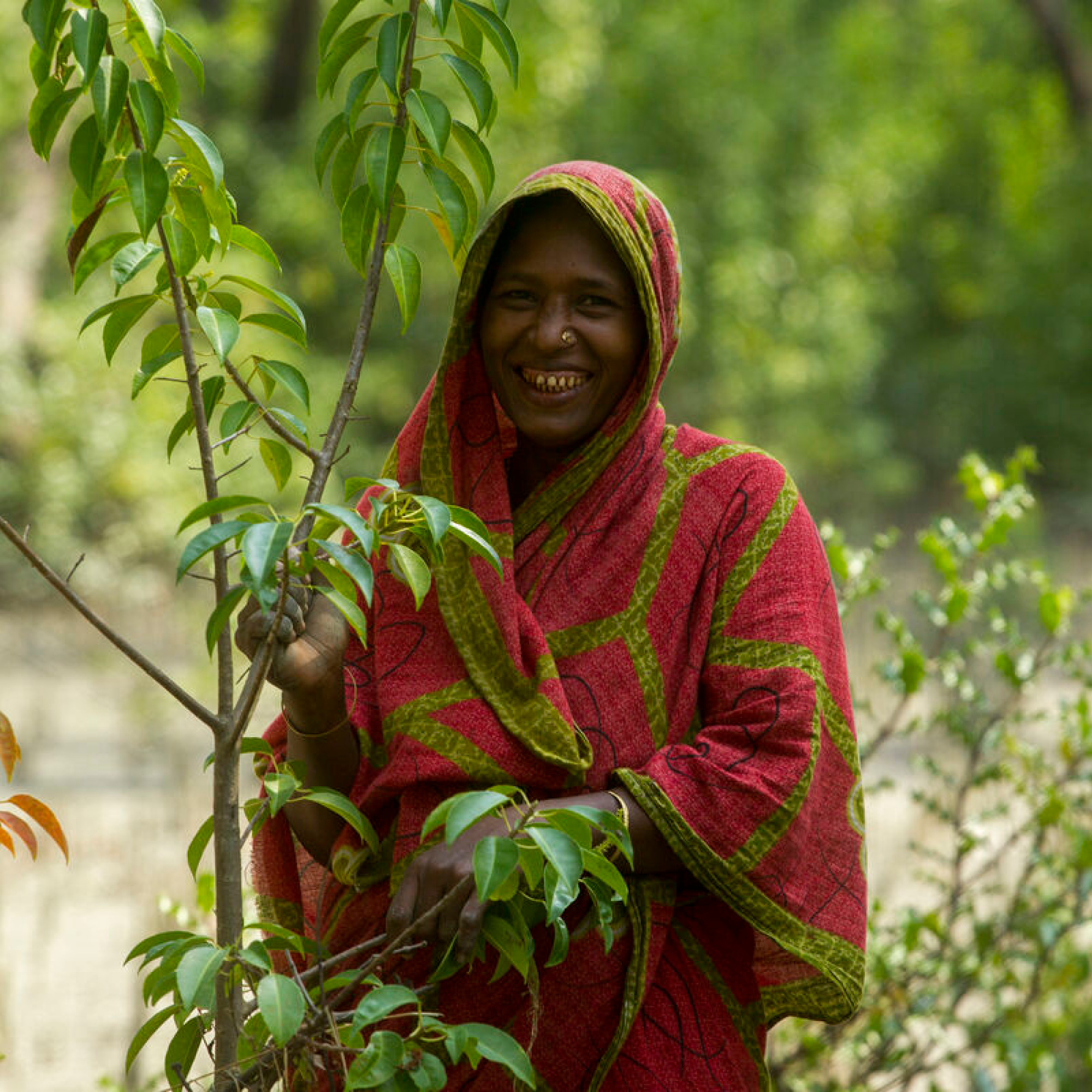 Photograph of a woman from Bangladesh, smiling, wearing a red and green patterned sari standing outdoors among green foliage. The person is partially obscured by tree branches, with a blurred natural background.