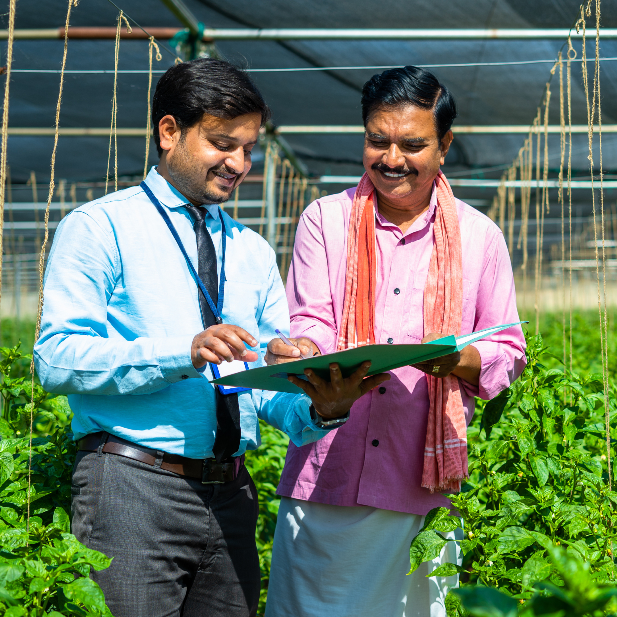 An agricultural officer in a light blue shirt, tie, and trousers reviews documents in a green folder alongside a smiling farmer wearing a pink shirt, a traditional scarf, and a dhoti. They are standing together inside a greenhouse filled with lush green crop plants.