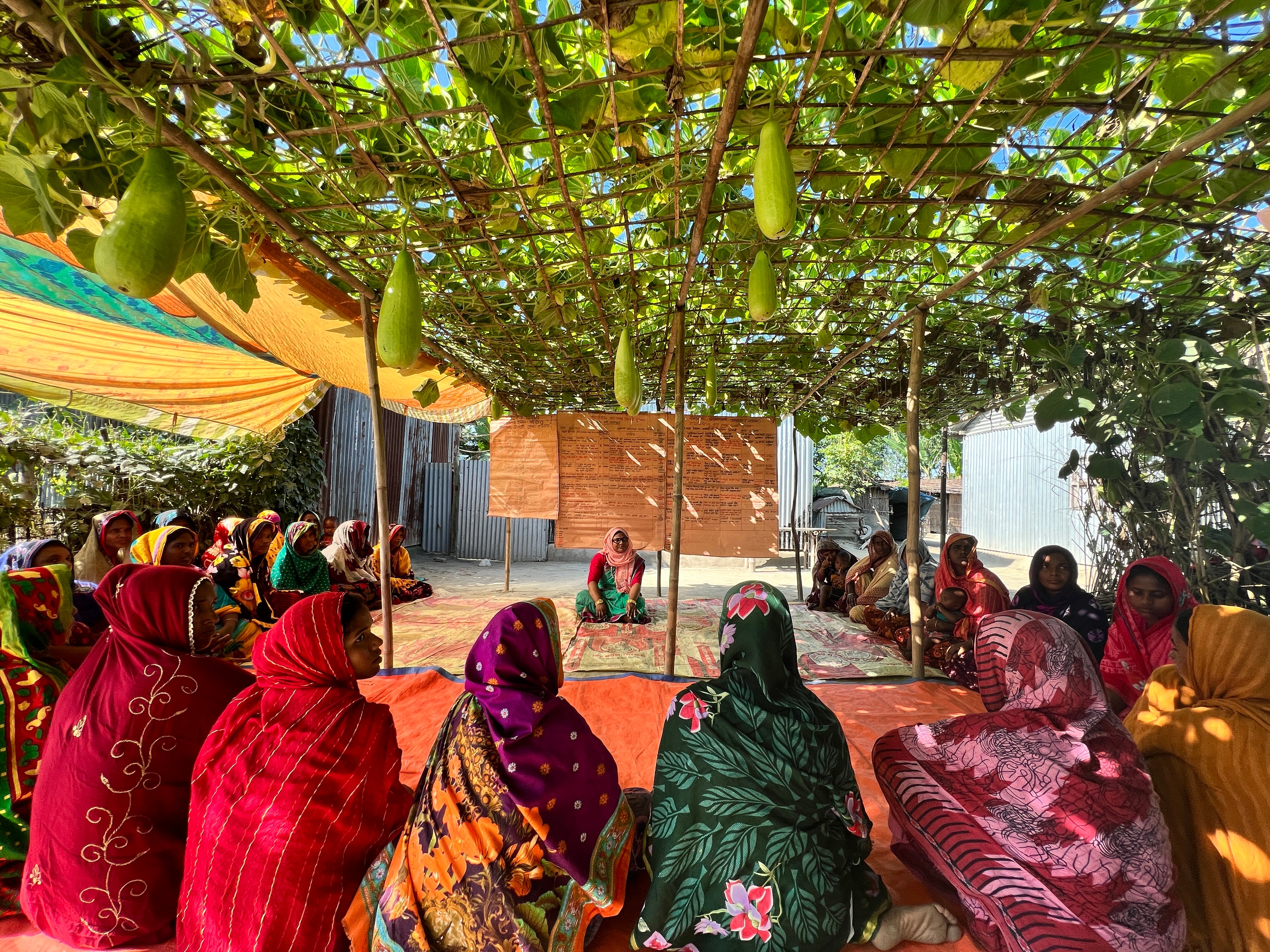 Cover for GCF in Brief: Locally Led Climate Action