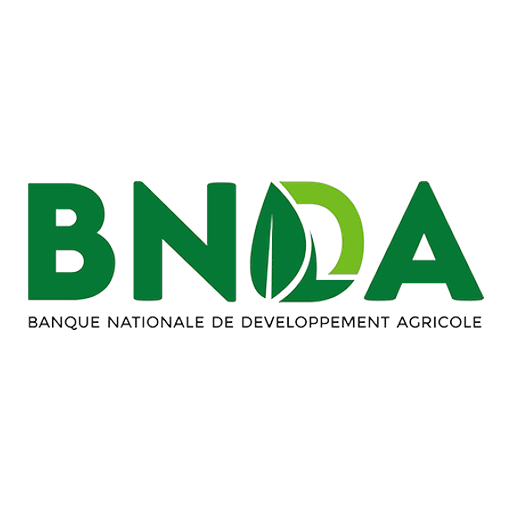 Logo for BNDA