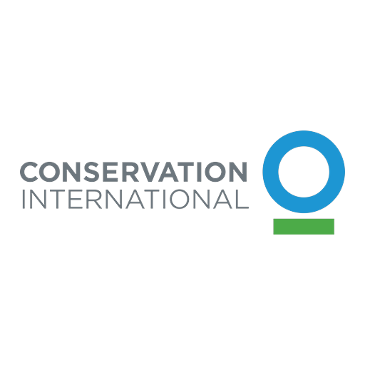 Logo for CI