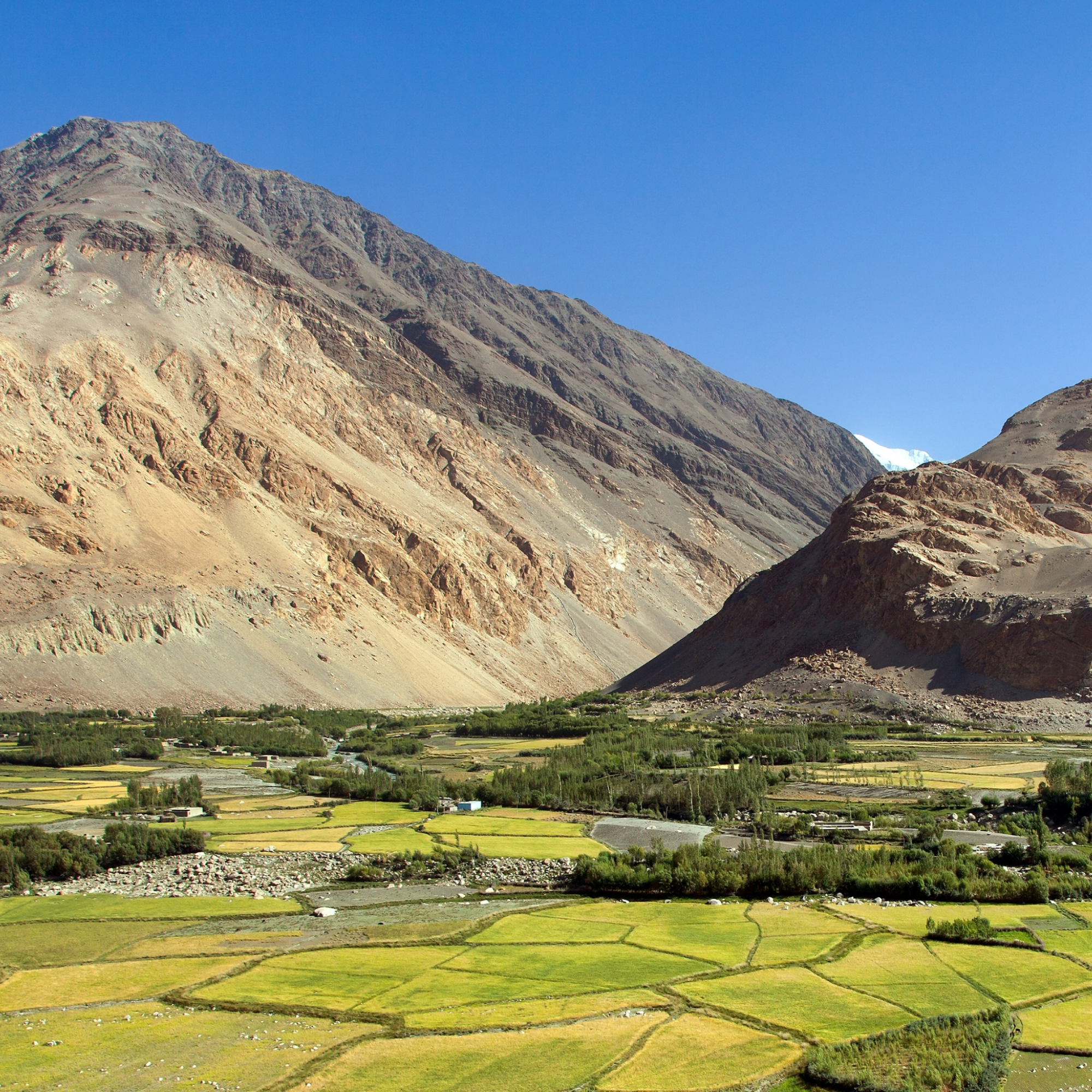 Photograph of a mountainous landscape featuring a large, rocky mountain with sparse vegetation under a clear blue sky. In the foreground, green and yellow agricultural fields are divided by narrow paths and bordered by clusters of trees, highlighting a contrast between arid mountain terrain and fertile farmland. (Project FP014)