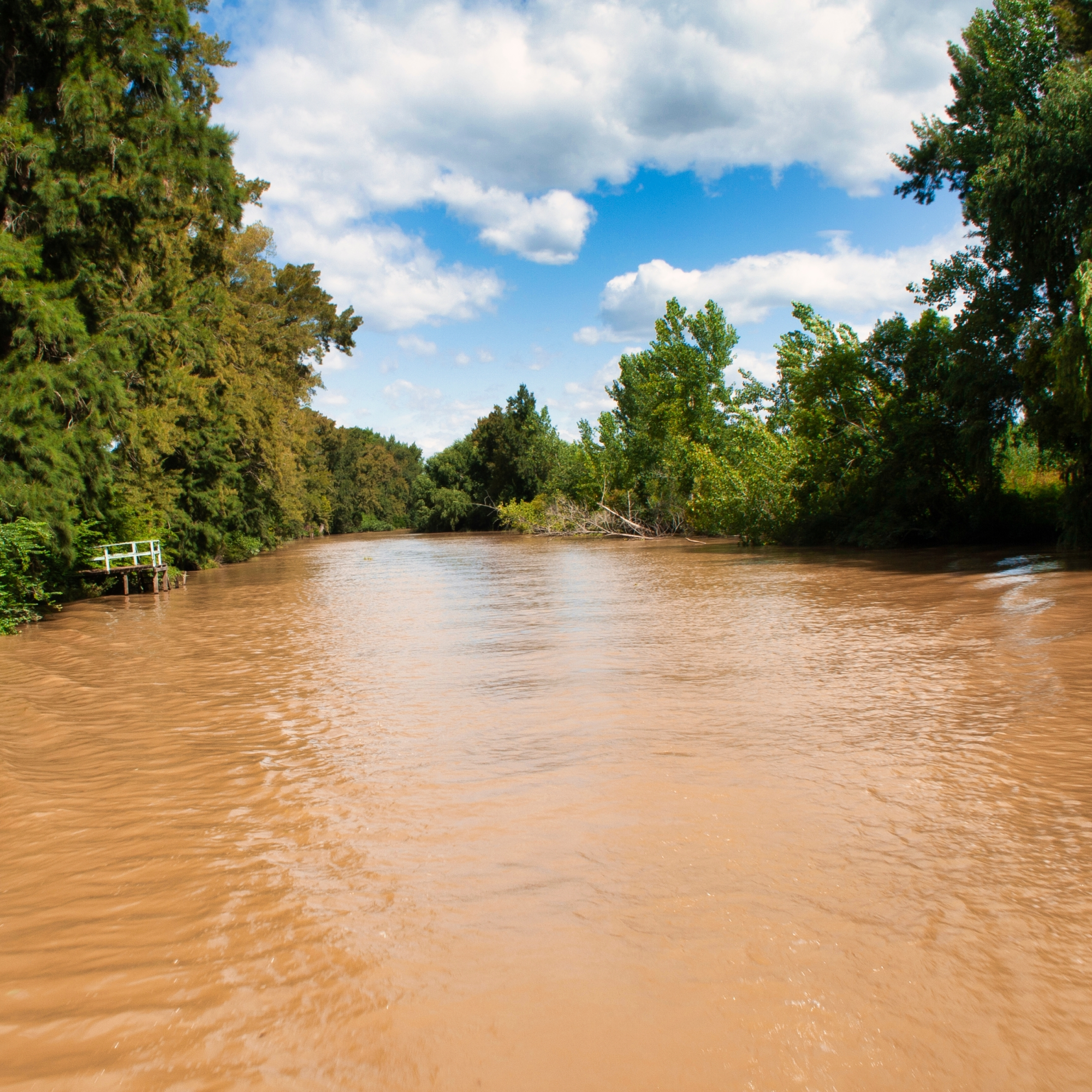 Photograph of a wide, muddy river flanked by dense green trees under a partly cloudy blue sky. The scene highlights natural surroundings with calm water and a small wooden dock visible on the left side. (project FP054)