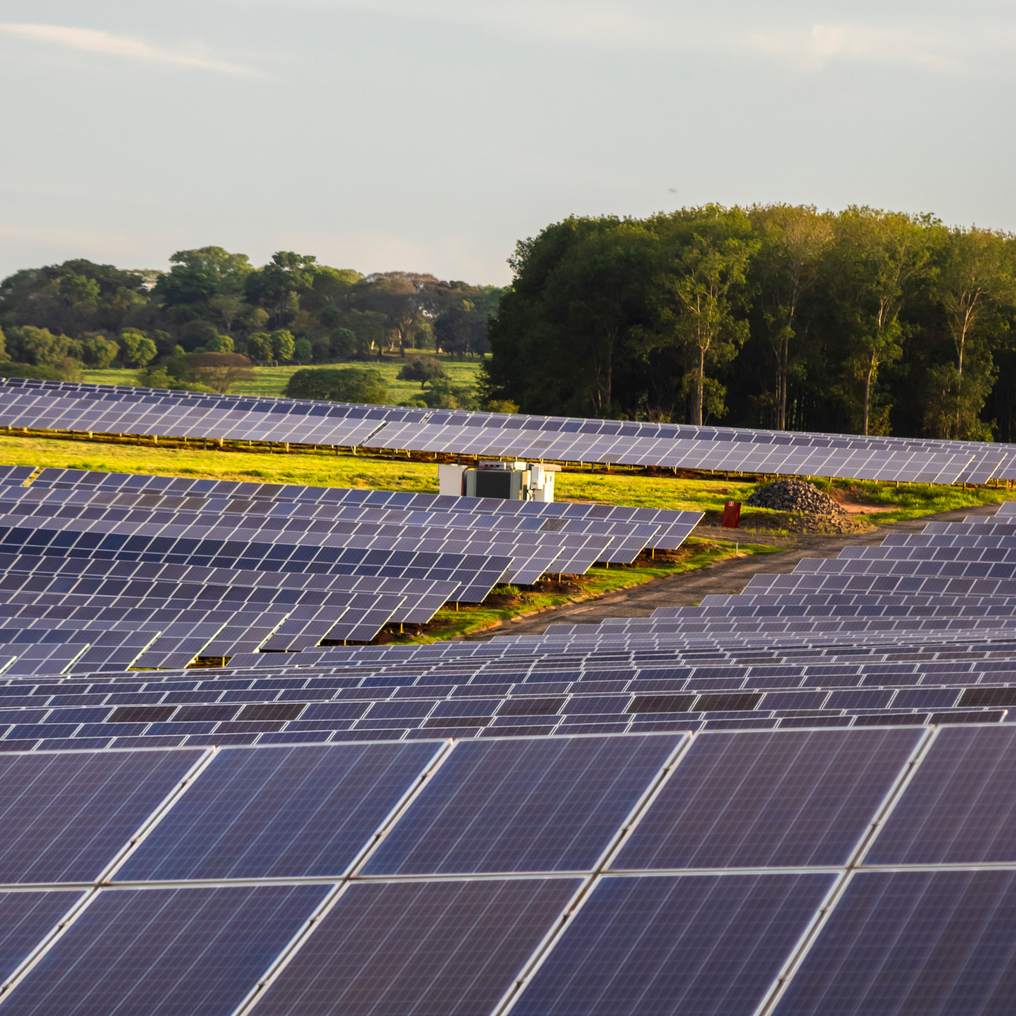 Photograph of a large solar farm featuring multiple rows of blue solar panels arranged in parallel lines across a green field. The background includes a cluster of tall trees under a partly cloudy sky, highlighting renewable energy infrastructure in a rural setting. (Project FP065)