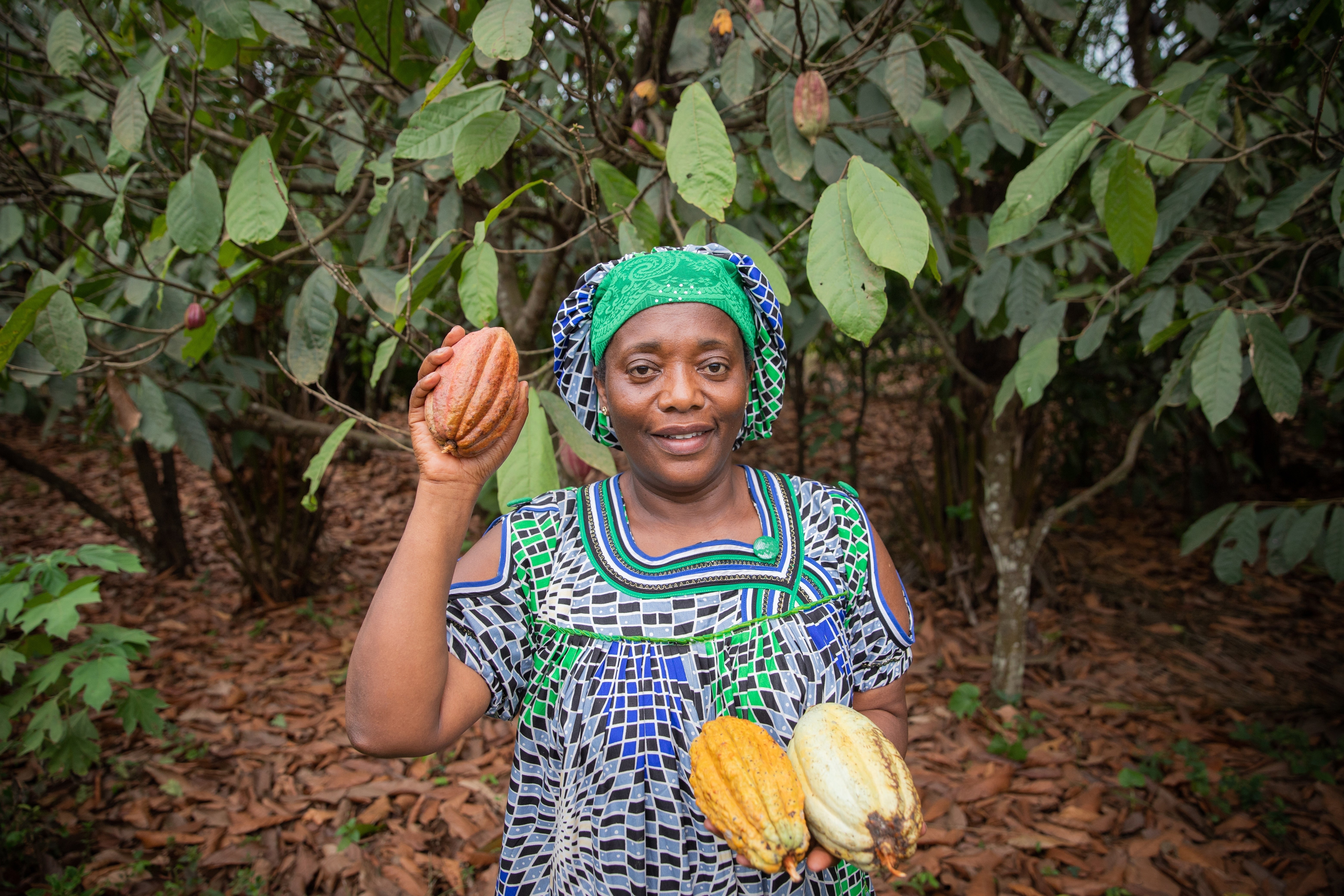 African woman holding cocoa fruits
