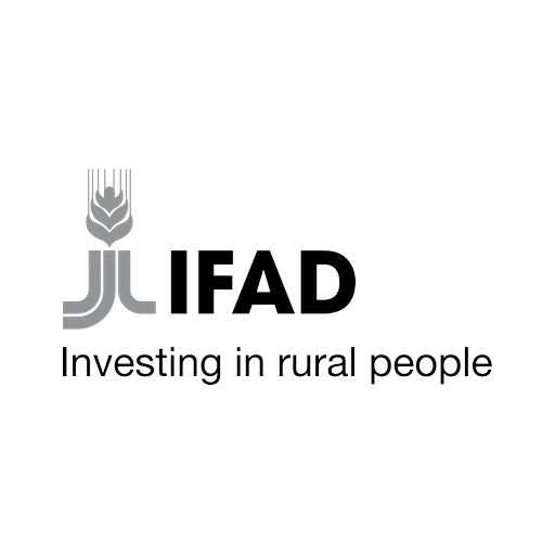 International Fund for Agricultural Development logo