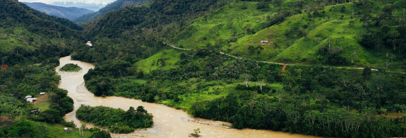 Cover for Thematic brief: Forests and land use