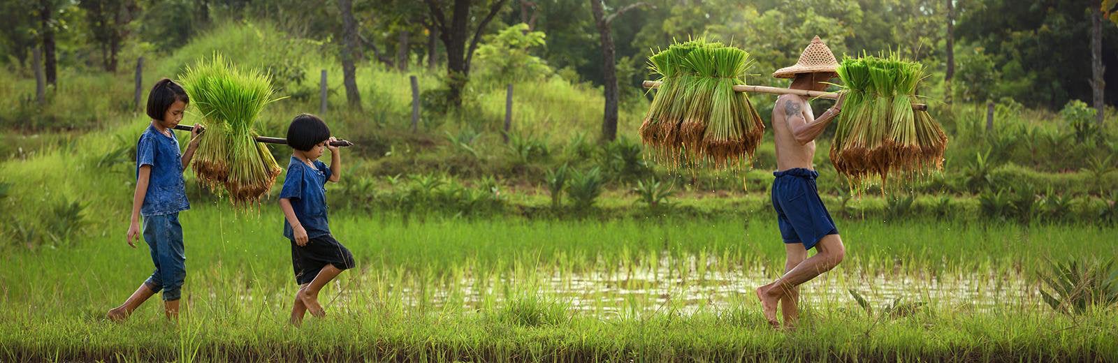 Cover for GCF in Brief: Simplified Approval Process