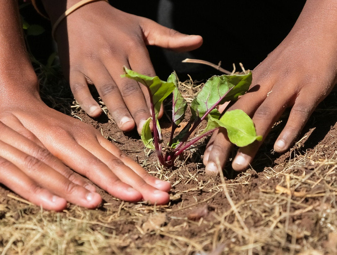 Cover for GCF and Africa: Accelerating climate action together
