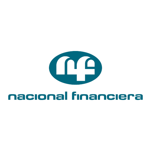 Nacional Financiera, SociedadNacional de Crédito, Institución de Banca de Desarrollo logo
