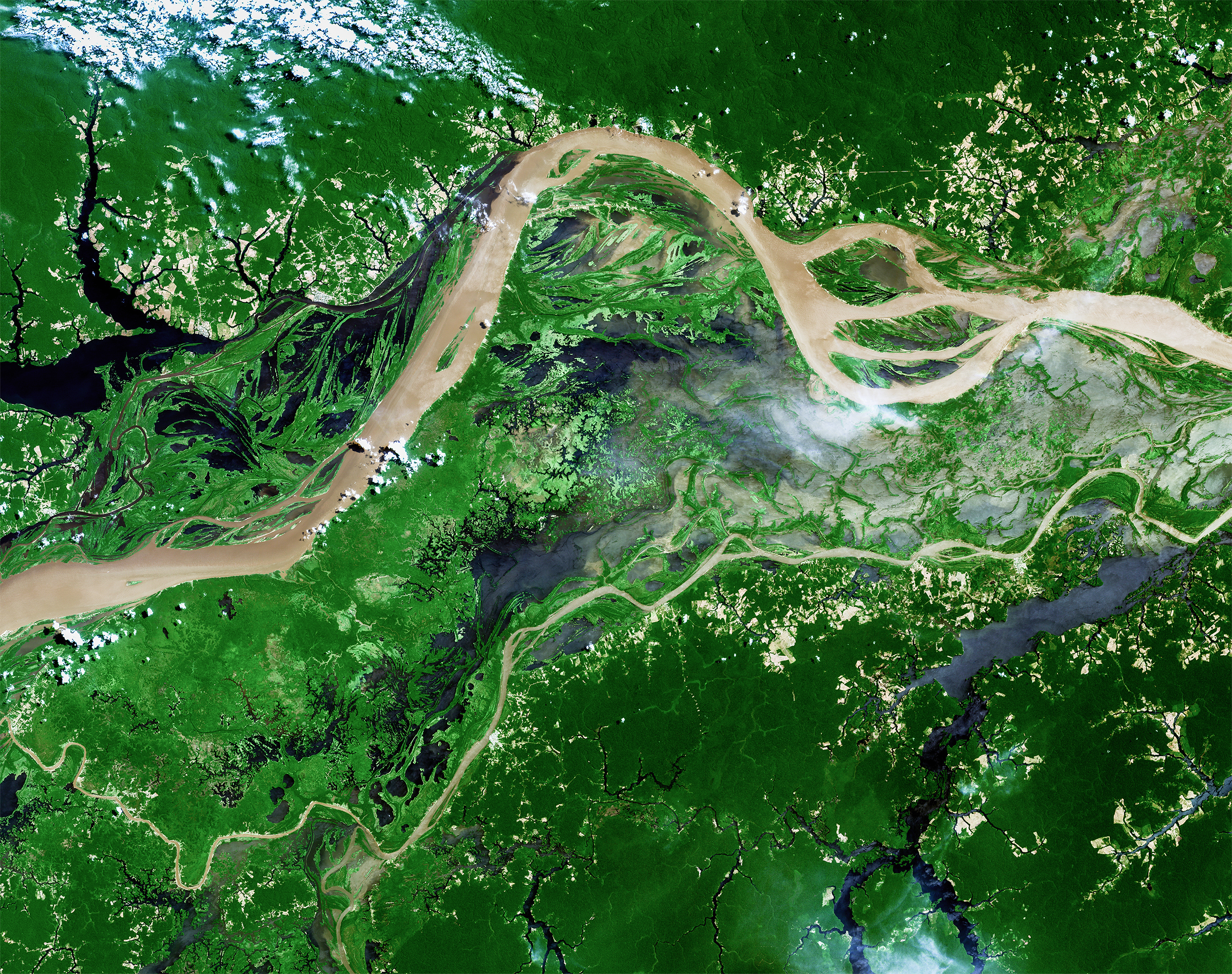 Latin America and the Caribbean region