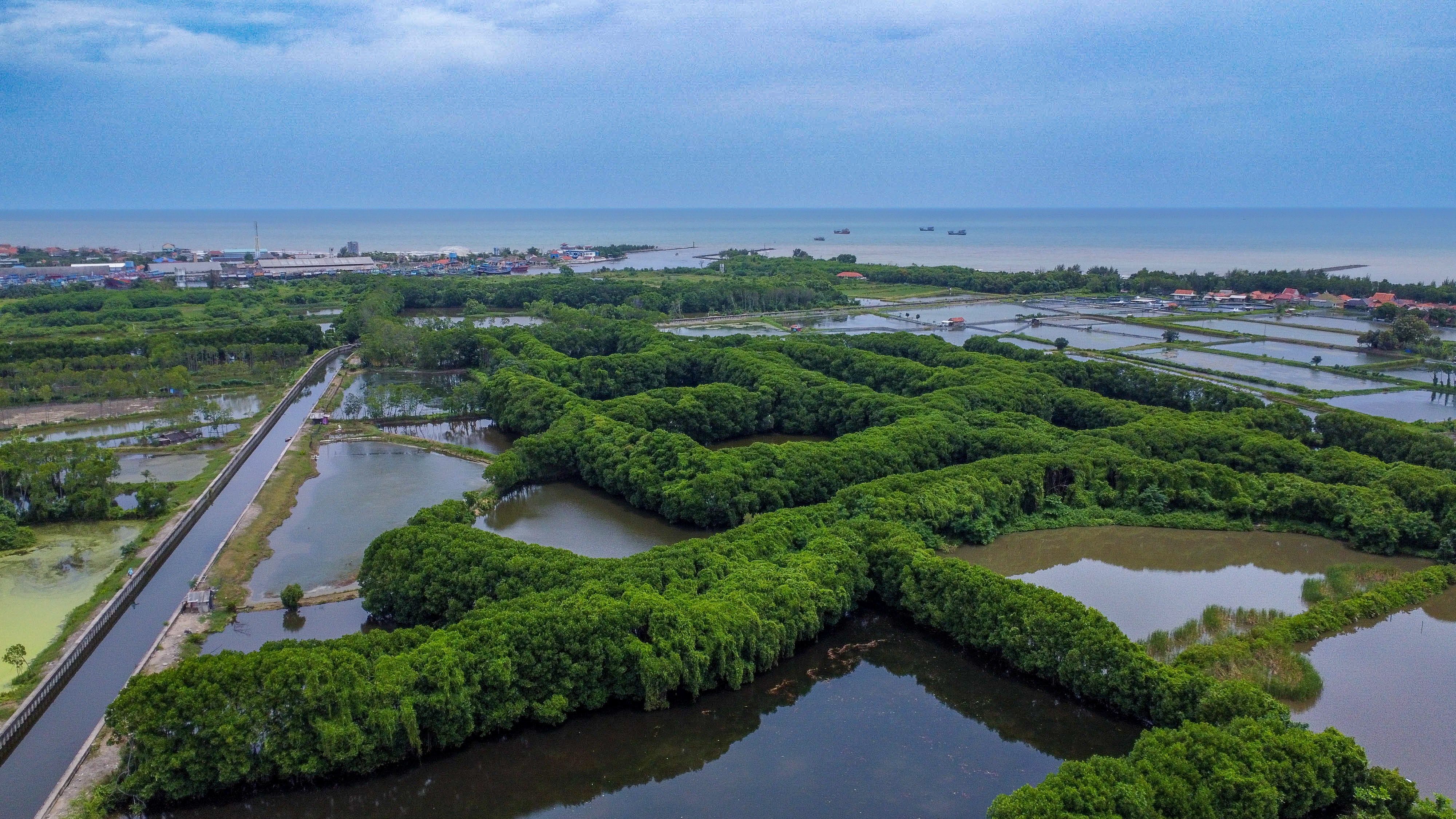 Petanglong area of Central Java