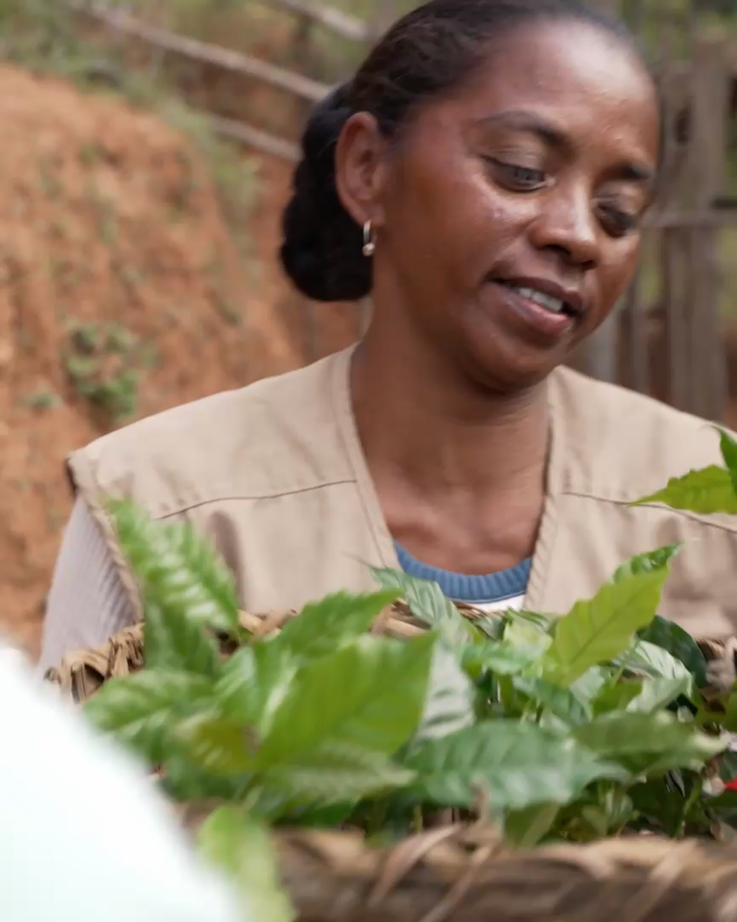 Woman in Madagascar carrying a basket of greens