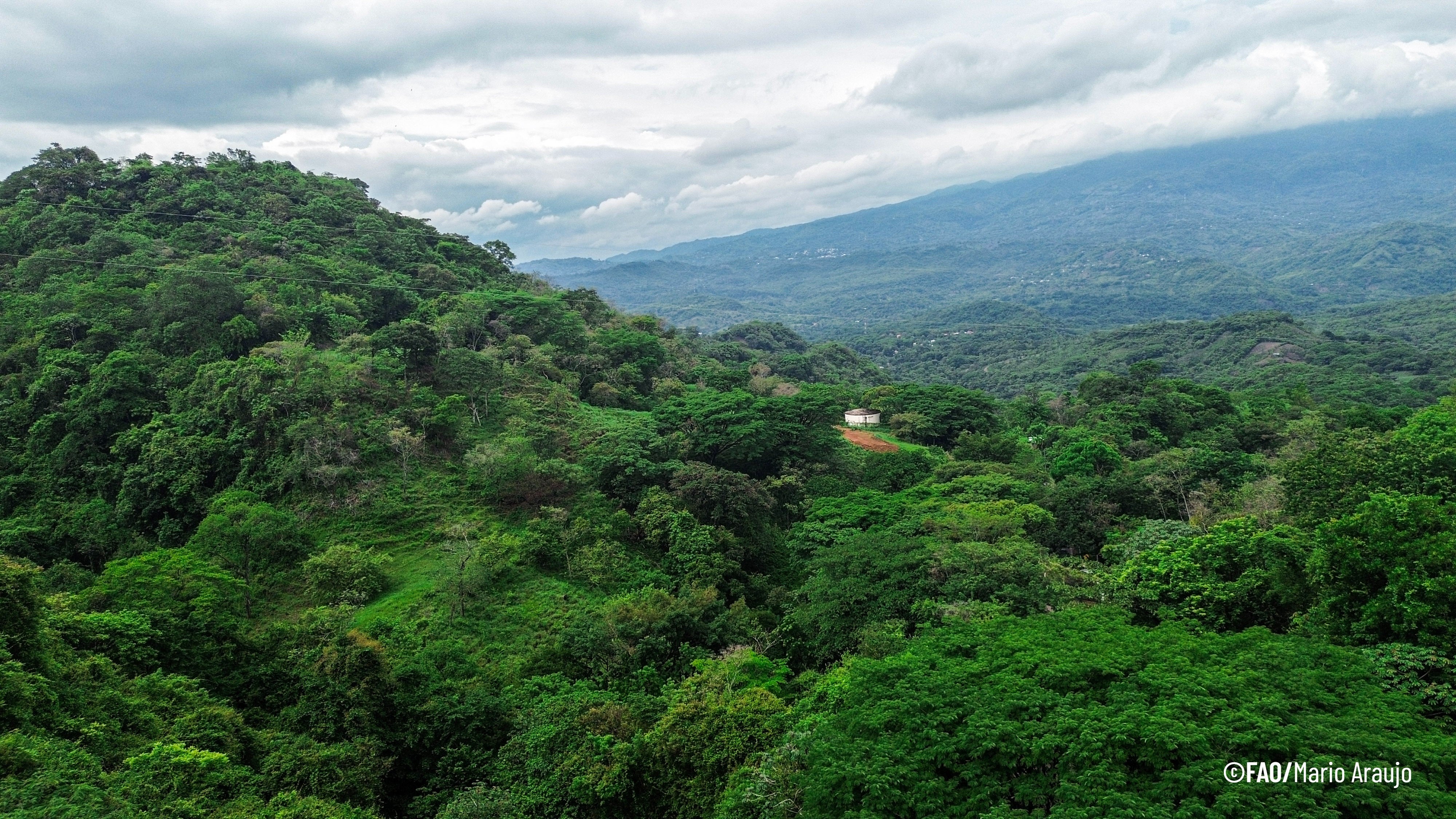 Photograph of a lush, green mountainous landscape under a cloudy sky, showcasing dense forest vegetation covering rolling hills. A small white structure is visible near the center, highlighting human presence amidst expansive natural scenery.