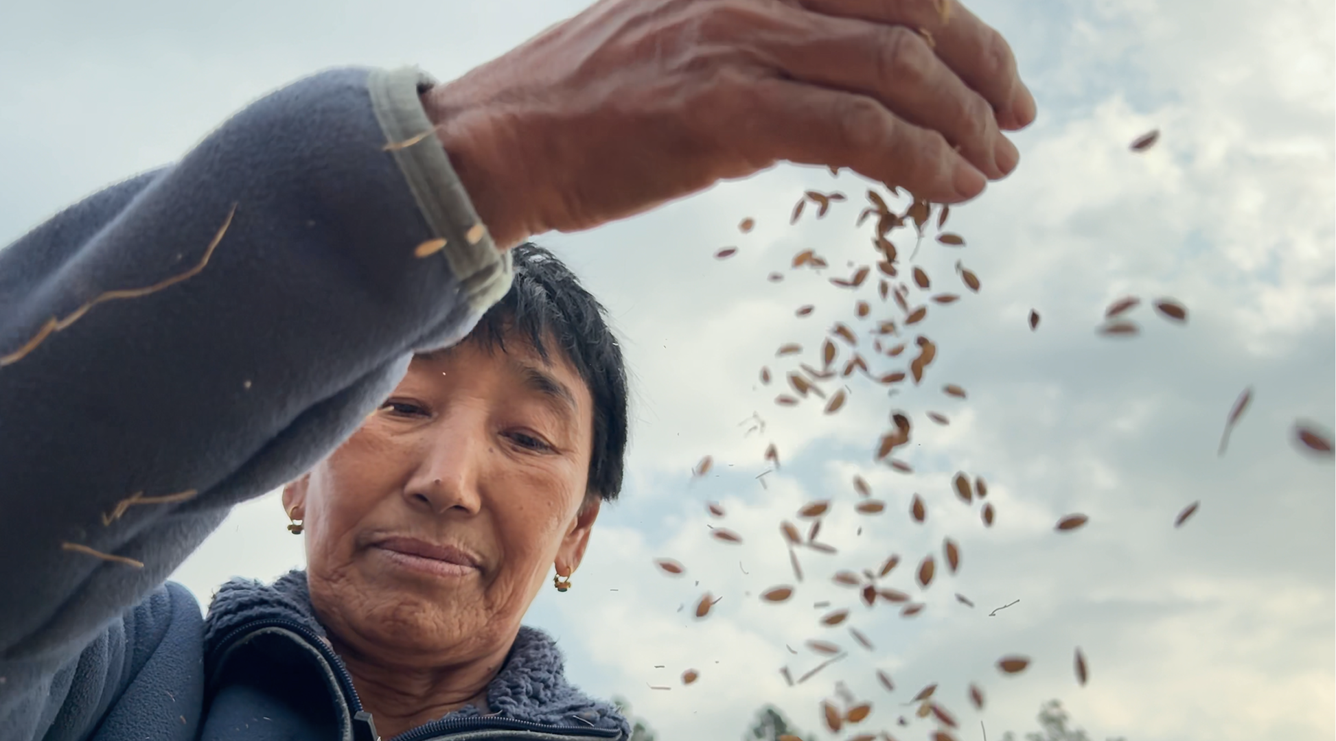  Mangmi Kinzang, a farmer in Phangyul, processes her rice harvest. She is one of 120,000 farmers who now have access to climate-resilient irrigation systems, established with GCF support. Photo: Little Big Films