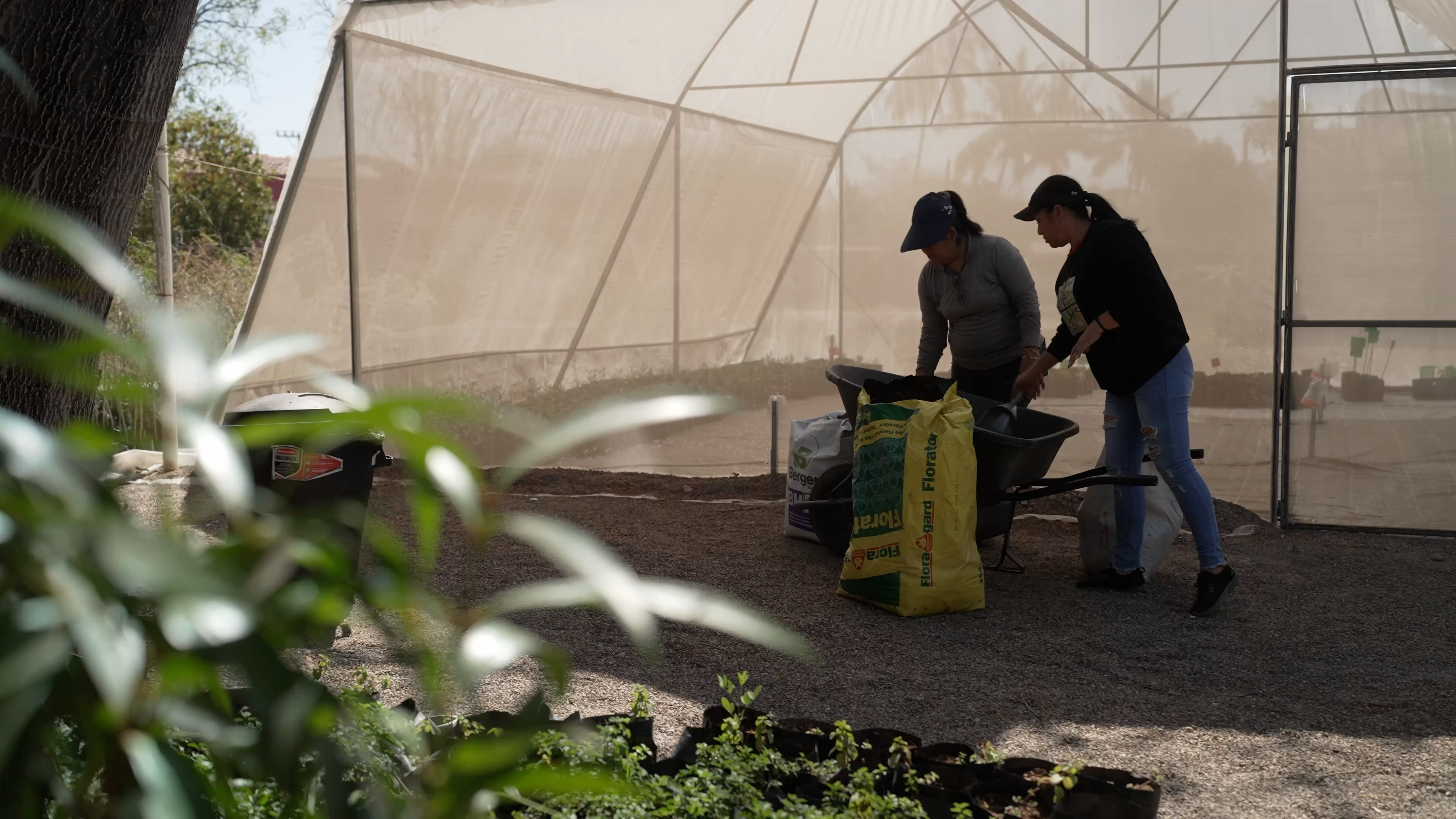 Farm workers near a greenhouse
